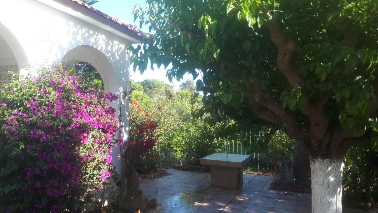 Villa Dunes 350M From The Sandy Beach Kalogria  Exterior foto