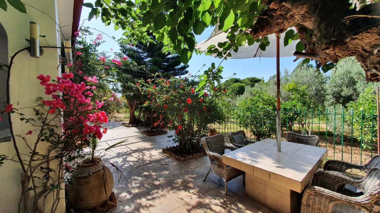 Villa Dunes 350M From The Sandy Beach Kalogria  Exterior foto
