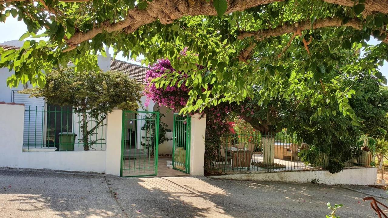Villa Dunes 350M From The Sandy Beach Kalogria  Exterior foto